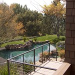 landscape backyard pool and plants